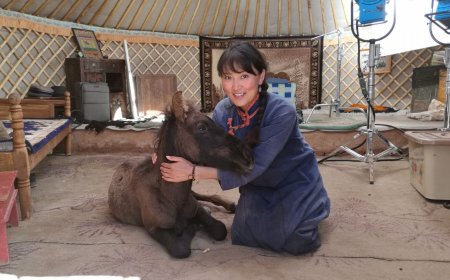 Монгол морины тухай кино шалгарлаа