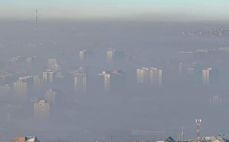 Үхлийн утаат манангийн эсрэг Үндэсний аюулгүй байдлын зөвлөлийг  хуралдуулъя