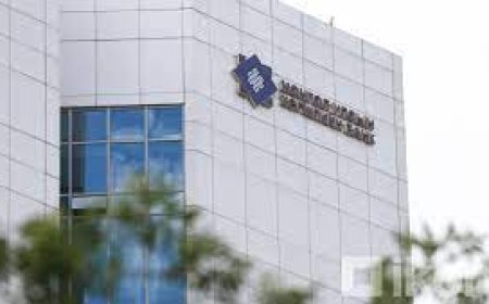 Хөгжлийн банканд ямар компаниуд өртэй вэ