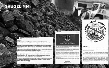 Угсраа мэдэгдлүүд нүүрсний хулгайчдыг цээжээр хамгаалж буй хэрэг биш үү