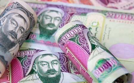 Хүүхдүүдийг ялгаврлан мөнгө олгох шийдвэр гаргасан нь төр Үндсэн хуулиа зөрчсөн шийдвэр байв