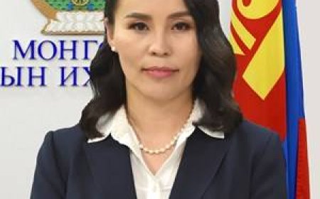 УИХ-ын гишүүн Ц.Мөнхцэцэгийг Хүний эрхийн дэд хорооны даргаар сонголоо