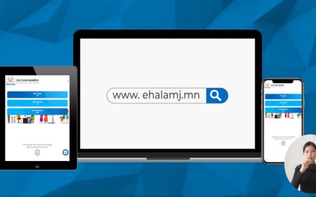 Хүсэлт гаргасан 16 мянган өрхийн мэдээллийг засварлажээ