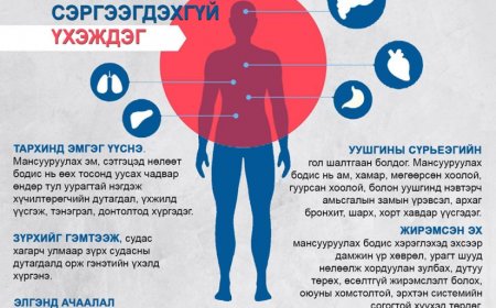 Мансууруулах эм, сэтгэцэд нөлөөт бодист  холбогдогсдын 5.2 хувь нь насанд хүрээгүй хүүхэд байна