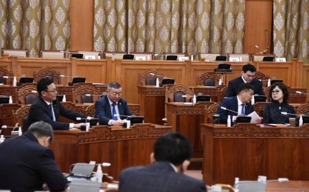 Ковидтой тэмцэхэд ₮11.2 наядыг зарцуулжээ