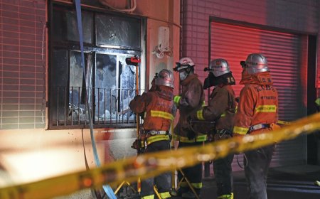 Японы Кобе хотод түймрийн улмаас дөрвөн хүн амиа алджээ