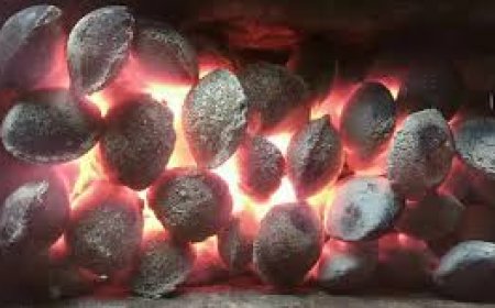 Хүн угаартсан гэх дуудлага 457  бүртгэгдэж, 26 хүн амь насаа алджээ