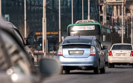 Улсын дугаарын дуудлага худалдаанд нэг иргэн олон давтамжтайгаар оролцон ялагч болж, олон тоогоор авч байгаа нь илэрчээ