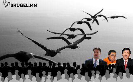 Засгийн газрын  шувуу ажиллагаа ба үргээлэг I