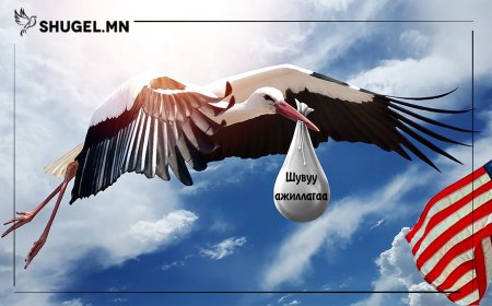 ЗАСГИЙН ГАЗРЫН ШУВУУ АЖИЛЛАГАА БА ҮРГЭЭЛЭГ II
