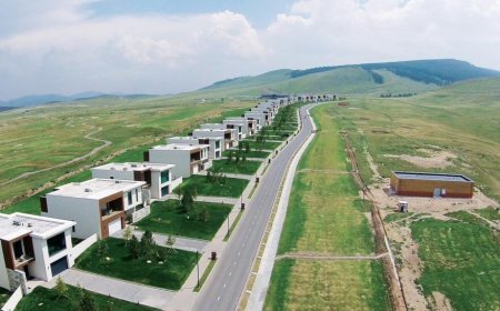 MCS группийн ерөнхийлөгч Ж.Оджаргал сонсголд ирсэнгүй. Түүнийг төлөөлж ирсэн  ажилтан   "АСЕМ Вилла" хотхонд Ерөнхийлөгч асан Ц.Элбэгдорж амьдардаггүй" гэв