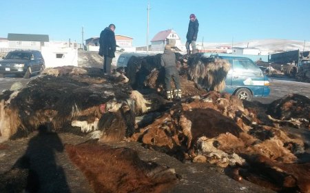 "Эмээлт орчмын үйлдвэрүүдийн малын гаралтай хог, хаягдал хөрсний бохирдол үүсгэж байгаад шалгалт хийж байна" гэв