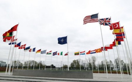 НАТО Оросын онгоцыг саатуулав