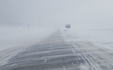 Зүүн өмнөд хэсгээр ахиухан хэмжээний цас орж, цасан шуурга шуурахыг анхаарууллаа