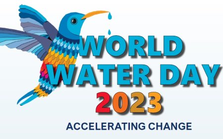 Өнөөдөр дэлхийн усны өдөр тохиож байна