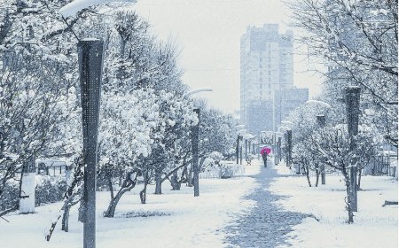 Улаанбаатарт өдөртөө 14 хэм хүйтэн