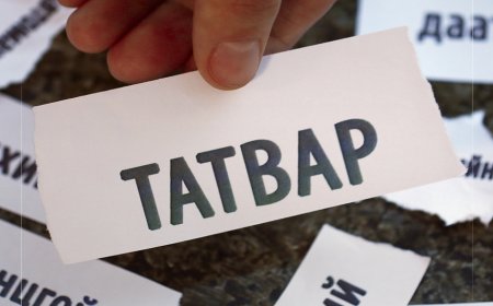 Төр засаг татвар төлөгчдийг мөшгөж орлогоо нэмэгдүүлэх бүхий л аргыг хайж байна