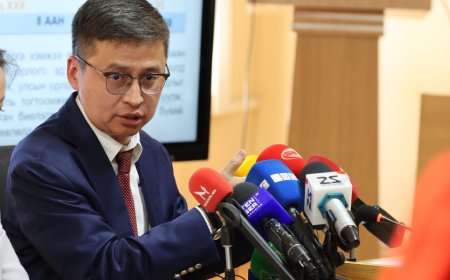 Б.Баасандорж:  Иргэдийн эрх зүйн байдлыг дордуулж, ажлаас нь чөлөөлж байна