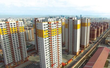 Өвөл Хүннү хороолол, Жапан тауны орчимд дулааны шугам дөрвөн удаа буудсан гэнэ