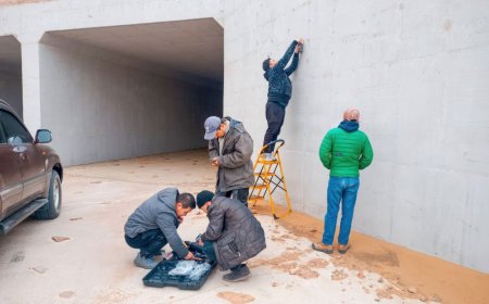 Зэрлэг амьтдын шилжилт, хөдөлгөөнийг хянах камер байршууллаа