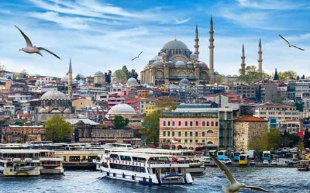 Хүүхэд хүчирхийлсэн этгээдийг Станбул хотоос баривчилж, шувуу ажиллагааны хүрээнд авчирчээ