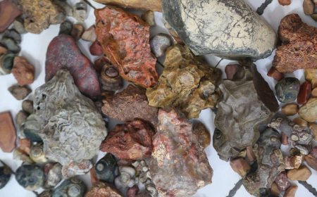 Байгалийн 310 кг чулууг хилээр хууль бусаар гаргах гэж байсныг илрүүллээ