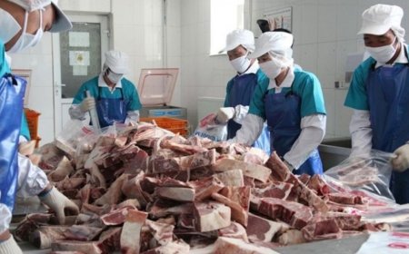 Мал төхөөрөх, мах боловсруулах үйлдвэрүүдэд хяналт шалгалт хийхээр боллоо