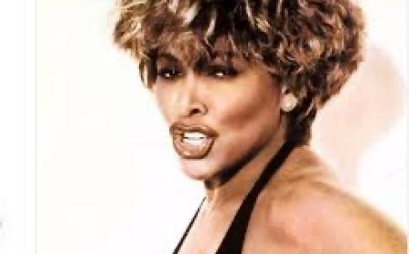 Рок-н-роллын домогт дуучин Тина Тернер таалал төгсжээ