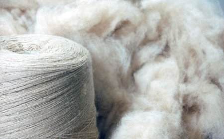 Хөдөө аж ахуйн биржээр 361.8 тонн ноолуур арилжжээ