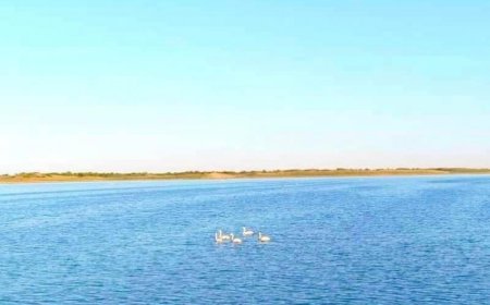 Ганга нуур сэргэж, 18 жилийн өмнөх түвшинд хүрчээ