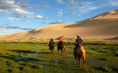 Монголд аялал жуулчлалын хөтчийн хамгийн өндөр цалин нь 60,000 ам.доллар байна