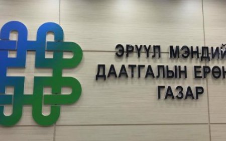 Элэгний хордлогот өвчин, реактив гепатит өвчний тусламж, үйлчилгээний 85 хувийг ЭМД-ын сангаас гаргана