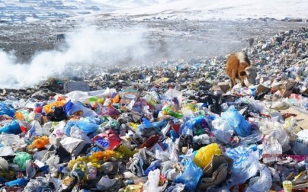 Улаанбаатар хотод хоногт 2500-3000 тонн хог үүсдэг байна