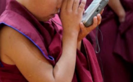 Ламхай нарыг хүчирхийлсэн байж болзошгүй гэх  хэргийн шалгах харьяаллыг өөрчилжээ