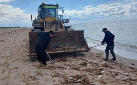 Буйр нуурын мөнгөлөг хэлтэг загас өвчилж хорогдсон гэв