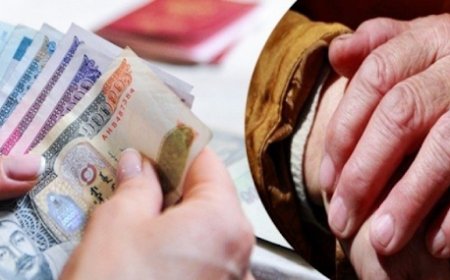 Наадам болох тул тэтгэвэр, тэтгэмжийг долдугаар сард хоёр удаа олгоно