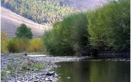 Туул голд сэлэхээр орсон эрэгтэй живж амиа алдсан харамсалтай хэрэг гарчээ