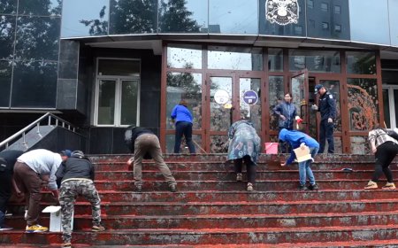 "Энэ кетчуп бол мэдээлэлд ойр, шийдвэр гаргаж байгаа хулгайчдын цус "