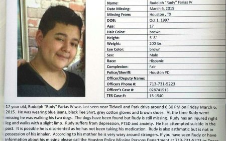 17 настайдаа алга болсон хүү 8 жилийн дараа эсэн мэнд олджээ