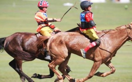 Асран хамгаалагчтай  нь гэрээ хийгээгүй бол бүртгэхгүй