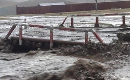 Шарга морьт, Гоодойн ам, Ар согоотод 130 орчим айл үерт автсан. Ихэнх айл эзэнгүй байна