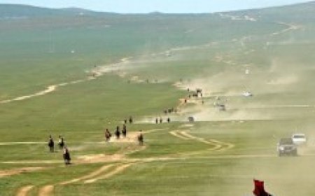 Соёолон насанд 122 морь гарааны зурхай руу хөдөллөө