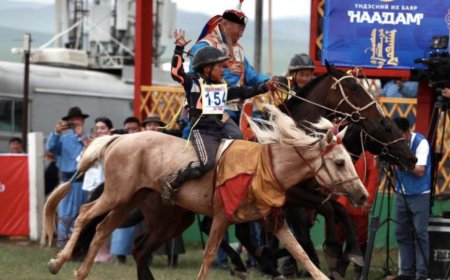 Будлиан үүсгэсэн үрээний  морь бариачийг ажлаас нь халжээ