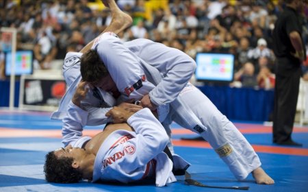 Жюү жицүгийн ДАШТ маргааш эхэлнэ