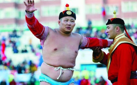 ЦЕГ:  Даян аварга Н.Батсуурийг Үндэсний их баяр наадмын тухай хууль зөрчих гэх үндэслэлээр шалгаж эхэлсэн нь үнэн