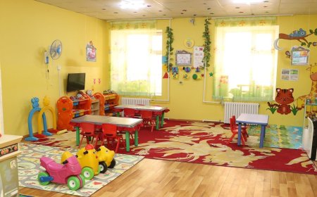 "Нийслэлийн цэцэрлэгийн бүртгэл хаагдсан. Хуваарилалт өнөөдрөөс хийгдэнэ"