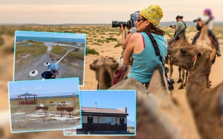 Аялал жуулчлалын салбарын орлого 800 орчим сая ам.долларт хүрчээ