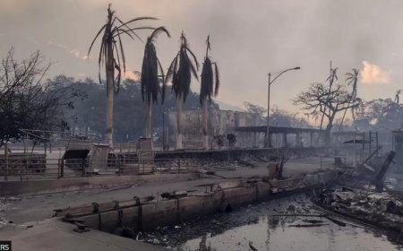 Хавайн түймэрт өртсөн хүмүүсийг аврах, эрэн хайх, гал унтраах ажил үргэлжилсээр байна