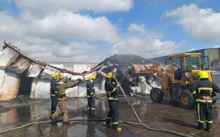 Эмээлтэд байшин шатжээ