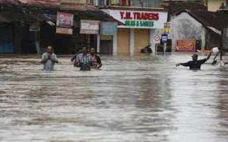 Энэтхэгт аадар борооны улмаас 50 хүн амиа алджээ